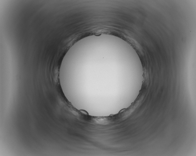 X0000114650189200910201008