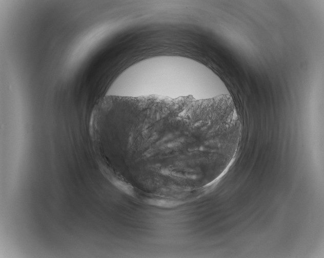 X0000114650191200910201008