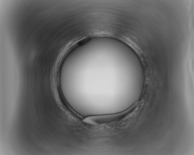 X0000114650193200910201007