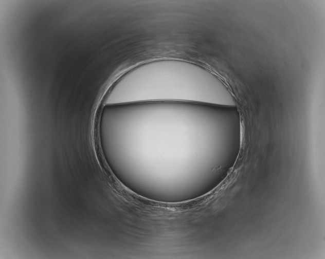 X0000114650195200910201007