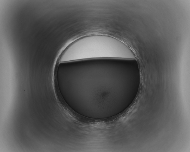 X0000114650196200910201007