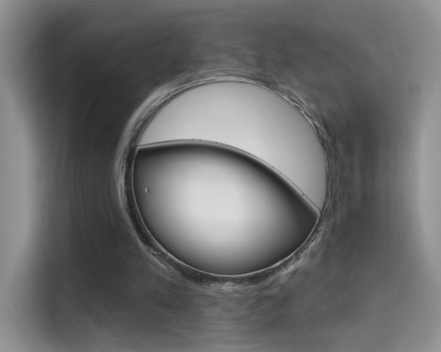 X0000114650197200910201007