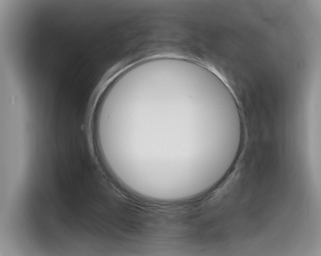 X0000114650199200910201007