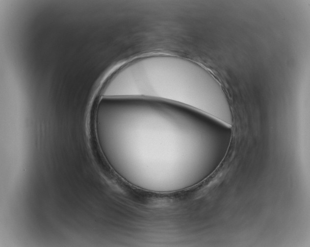 X0000114650200200910201007