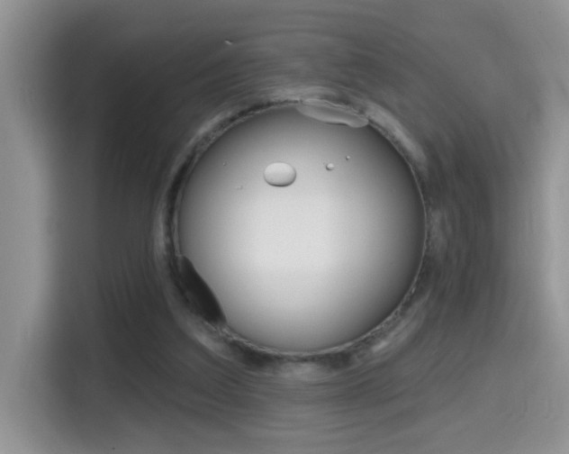 X0000114650203200910201007