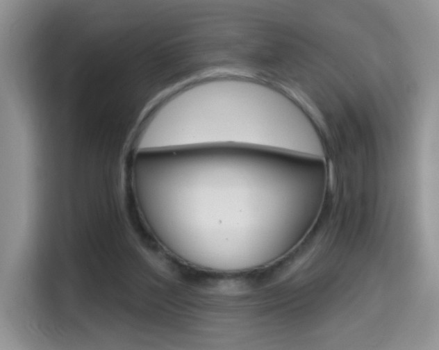 X0000114650204200910201007