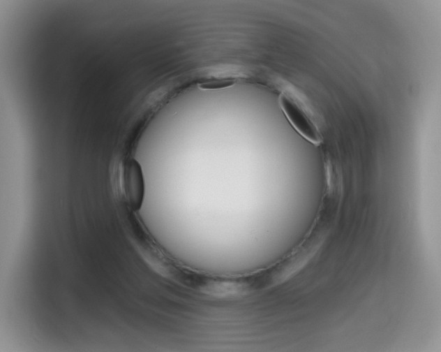 X0000114650205200910201007