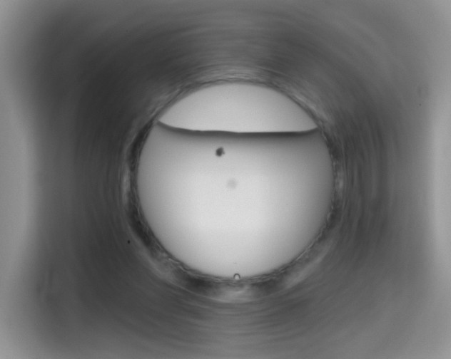 X0000114650206200910201007