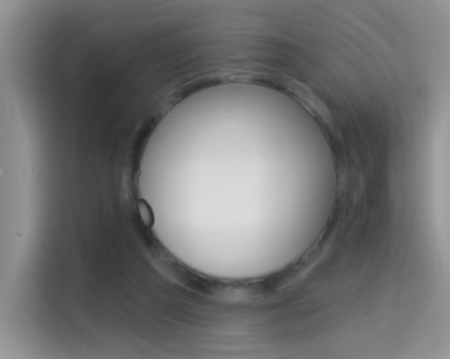 X0000114650209200910201007