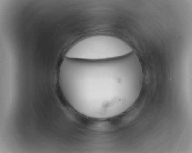 X0000114650210200910201007