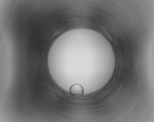 X0000114650211200910201007
