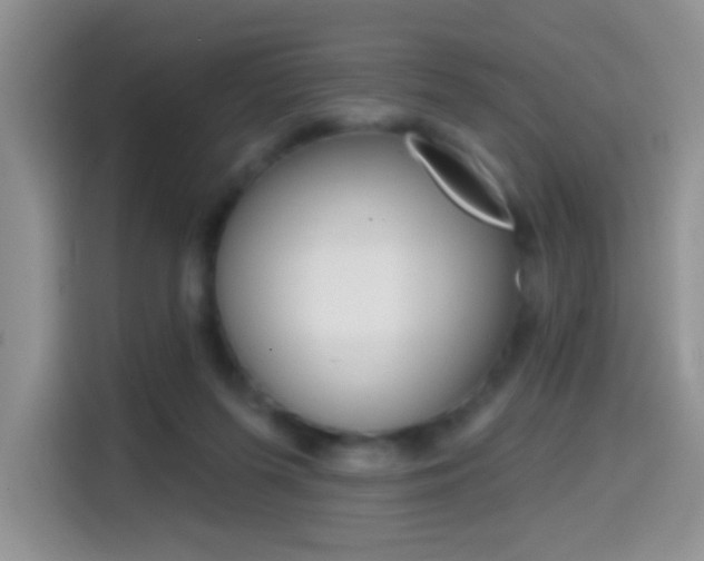 X0000114650215200910201007