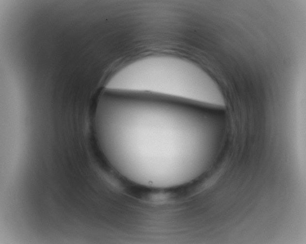 X0000114650216200910201007