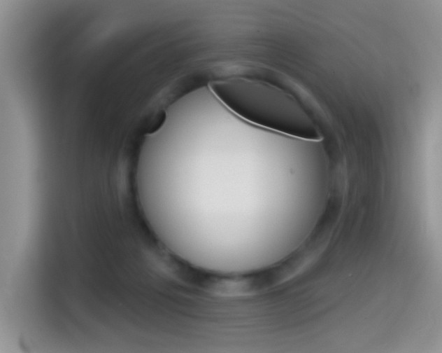 X0000114650217200910201007