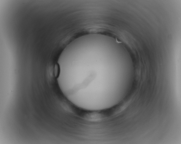 X0000114650219200910201007