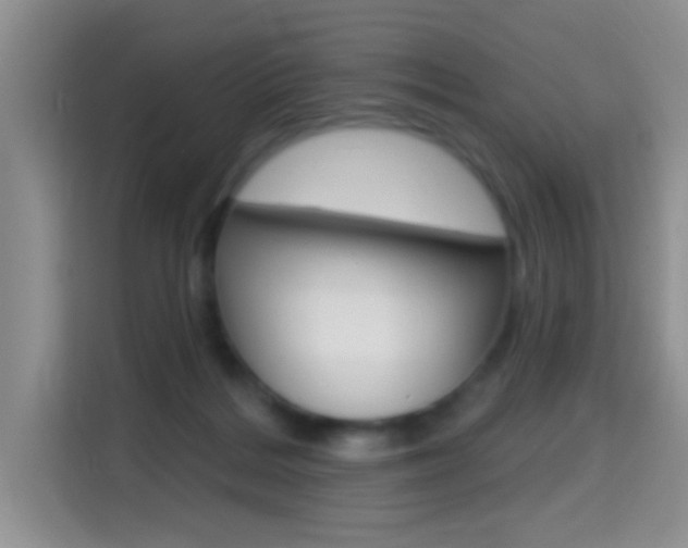 X0000114650220200910201007
