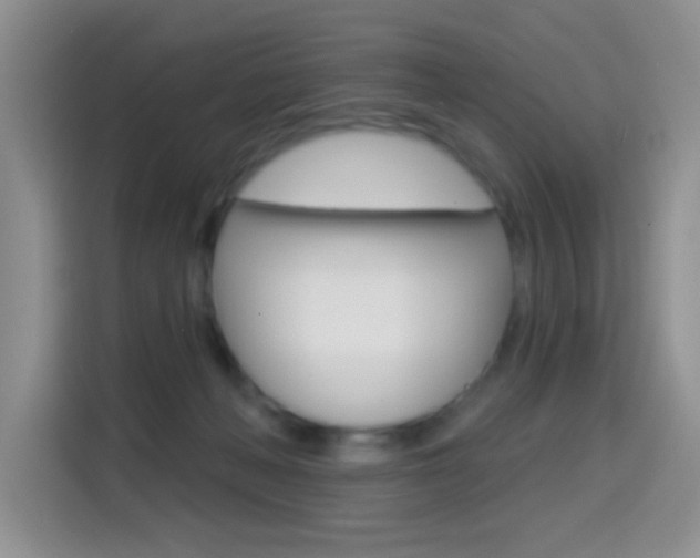 X0000114650222200910201007