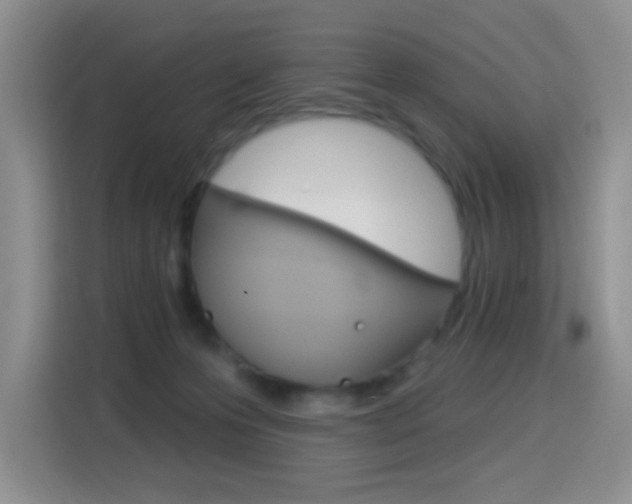X0000114650223200910201007