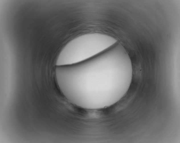X0000114650226200910201007