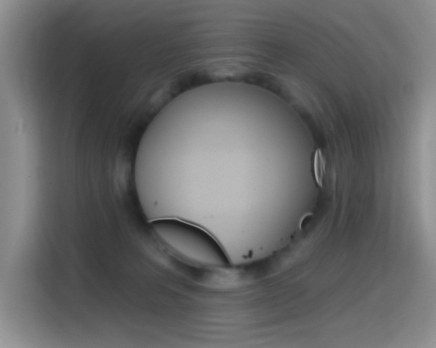 X0000114650227200910201007