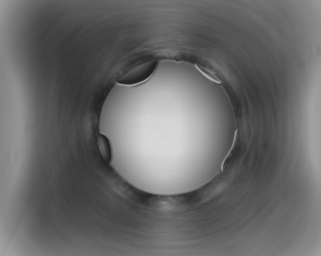 X0000114650229200910201007