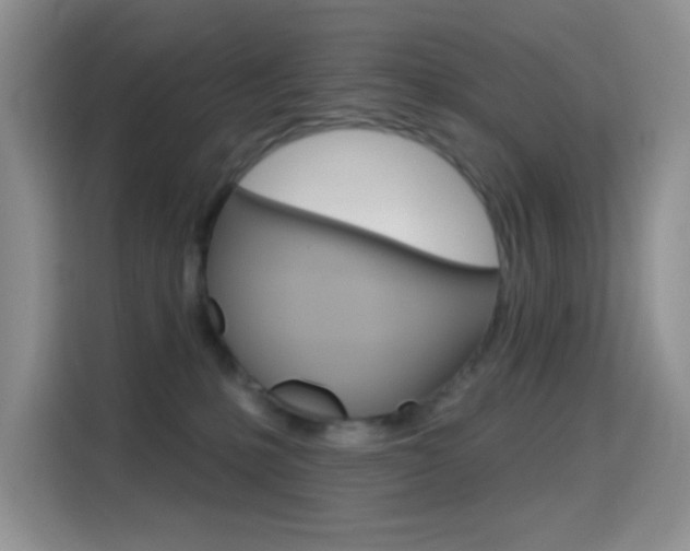 X0000114650231200910201007