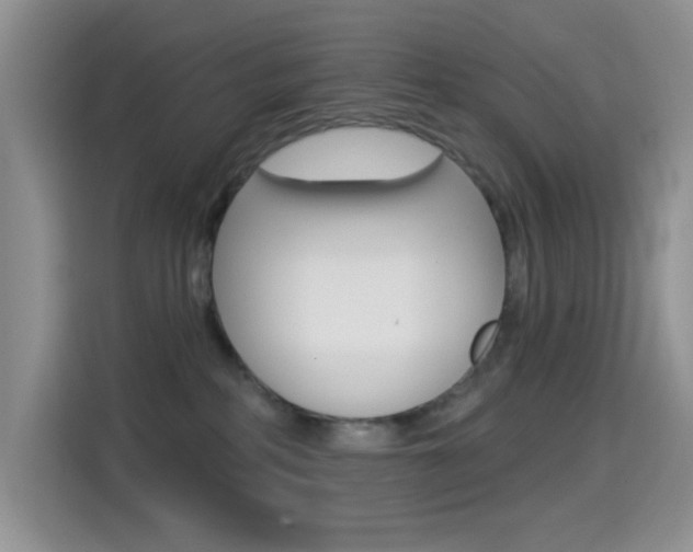 X0000114650234200910201007