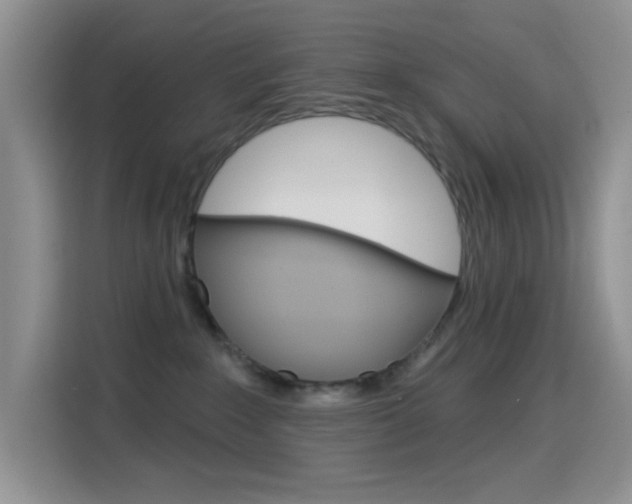 X0000114650235200910201007