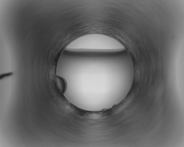 X0000114650236200910201007