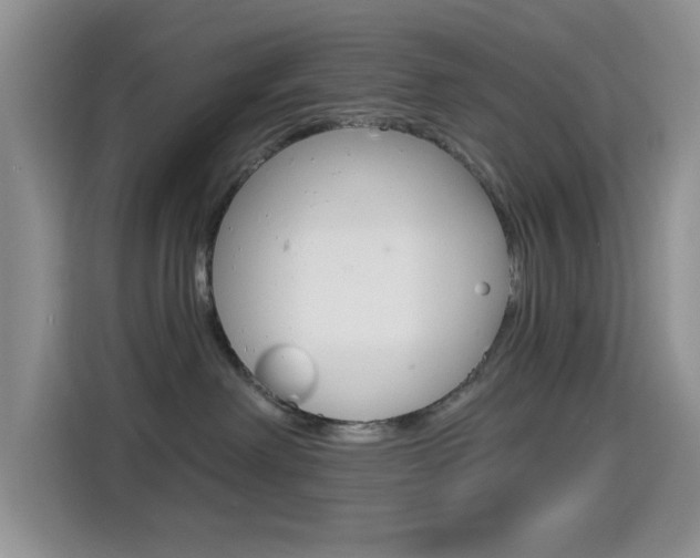 X0000114650238200910201007