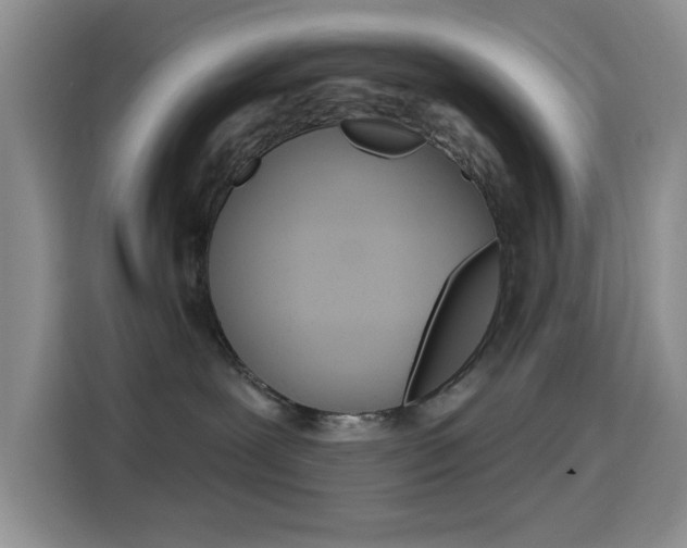 X0000114650239200910201007