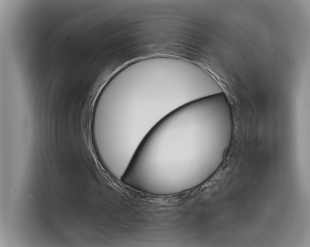 X0000114650241200910201006
