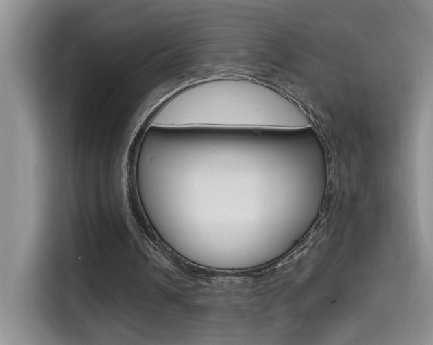 X0000114650242200910201006