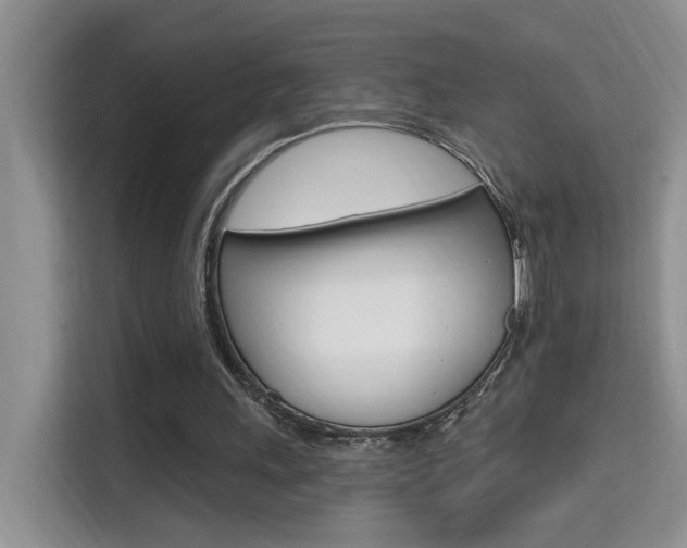 X0000114650243200910201006
