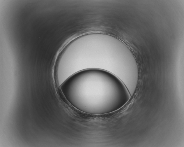 X0000114650244200910201006