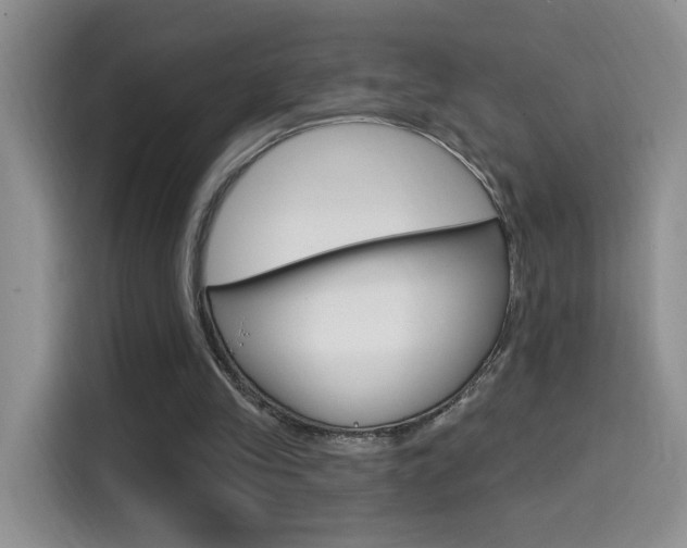 X0000114650245200910201006