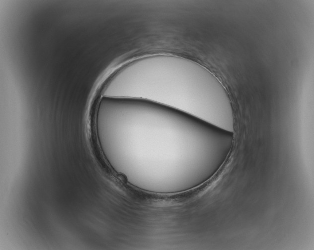 X0000114650246200910201006