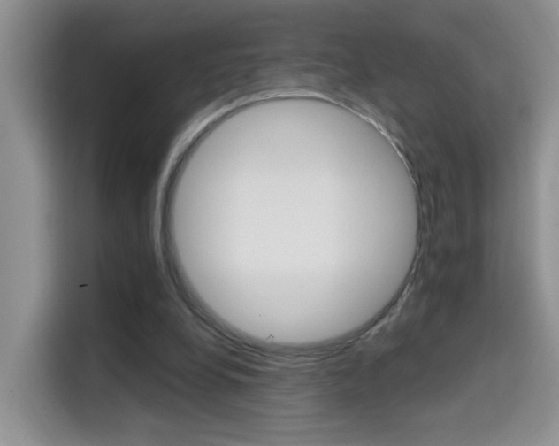X0000114650248200910201006
