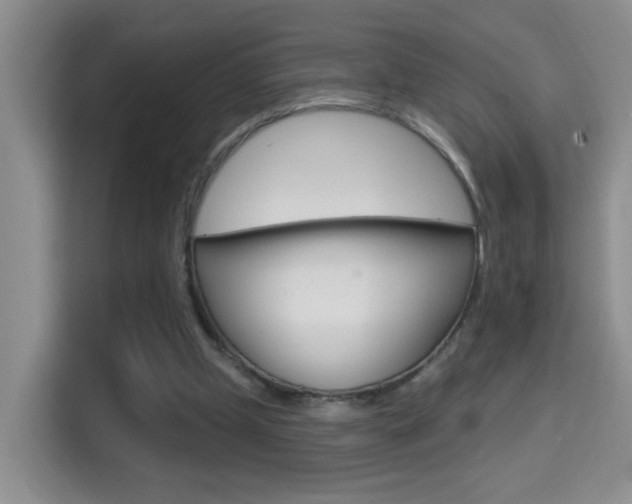 X0000114650249200910201006