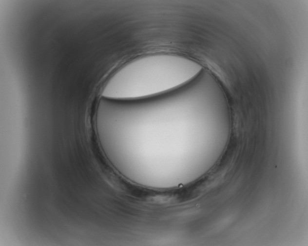 X0000114650251200910201006
