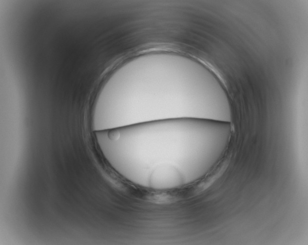 X0000114650253200910201006