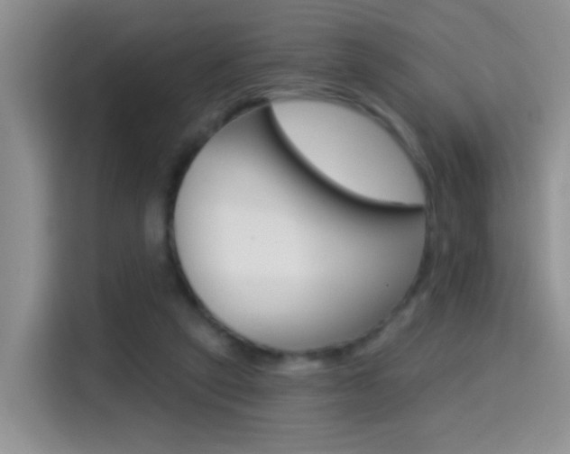 X0000114650257200910201006