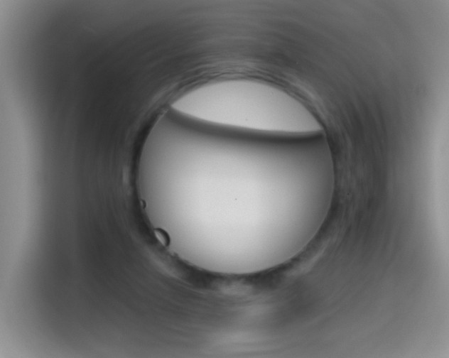 X0000114650258200910201006