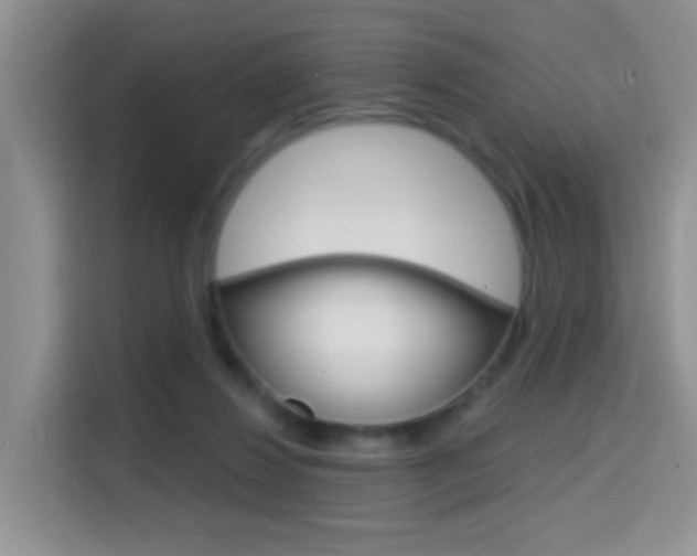 X0000114650260200910201006
