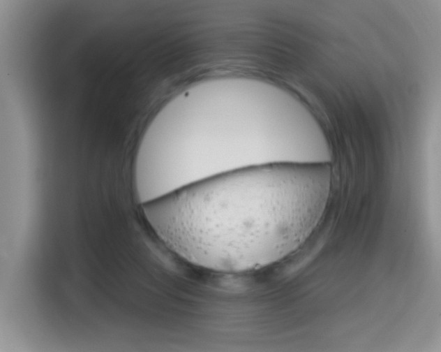X0000114650261200910201006
