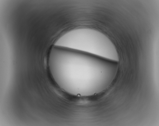X0000114650262200910201006