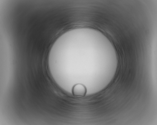 X0000114650264200910201007