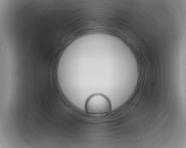 X0000114650268200910201007