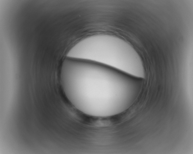 X0000114650270200910201007