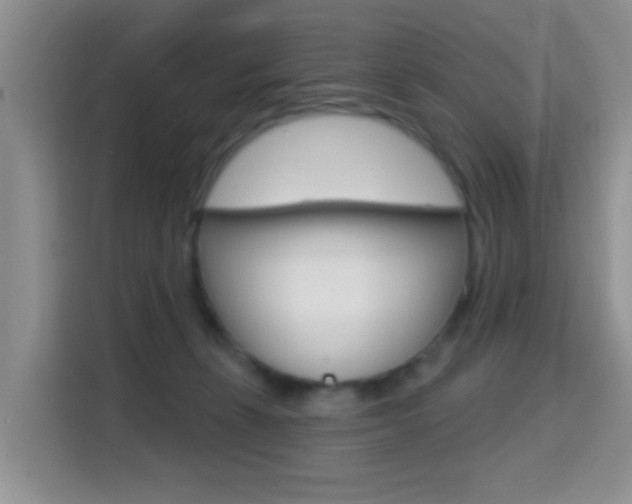 X0000114650271200910201007